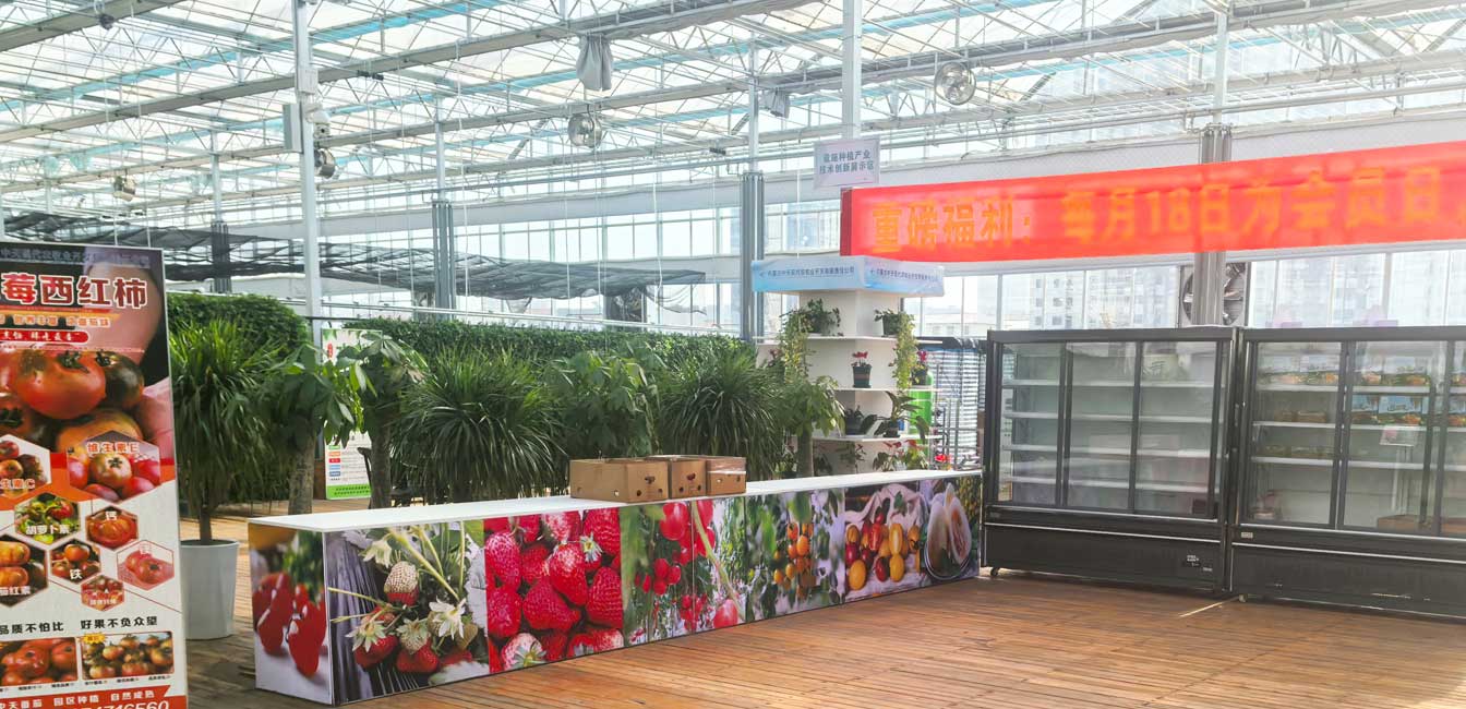 自治區綠色優質果蔬展銷中心psd-恢復的_12.jpg